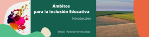 Lee más sobre el artículo Ámbitos para la Inclusión Educativa Introducción